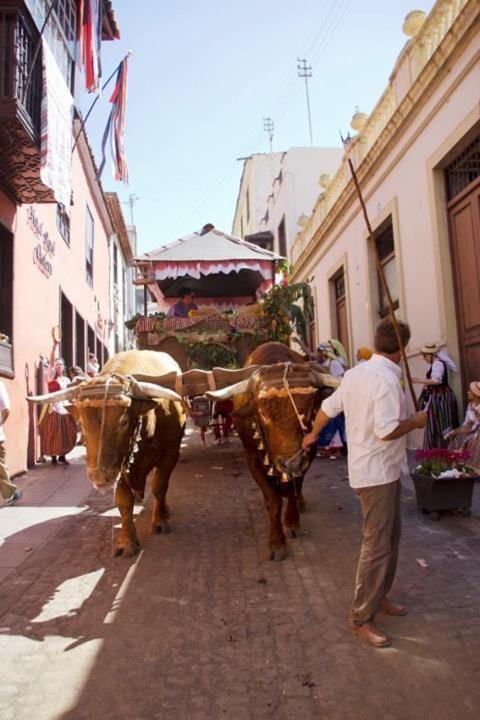 Hotel Rural Orotava La Orotava Eksteriør bilde